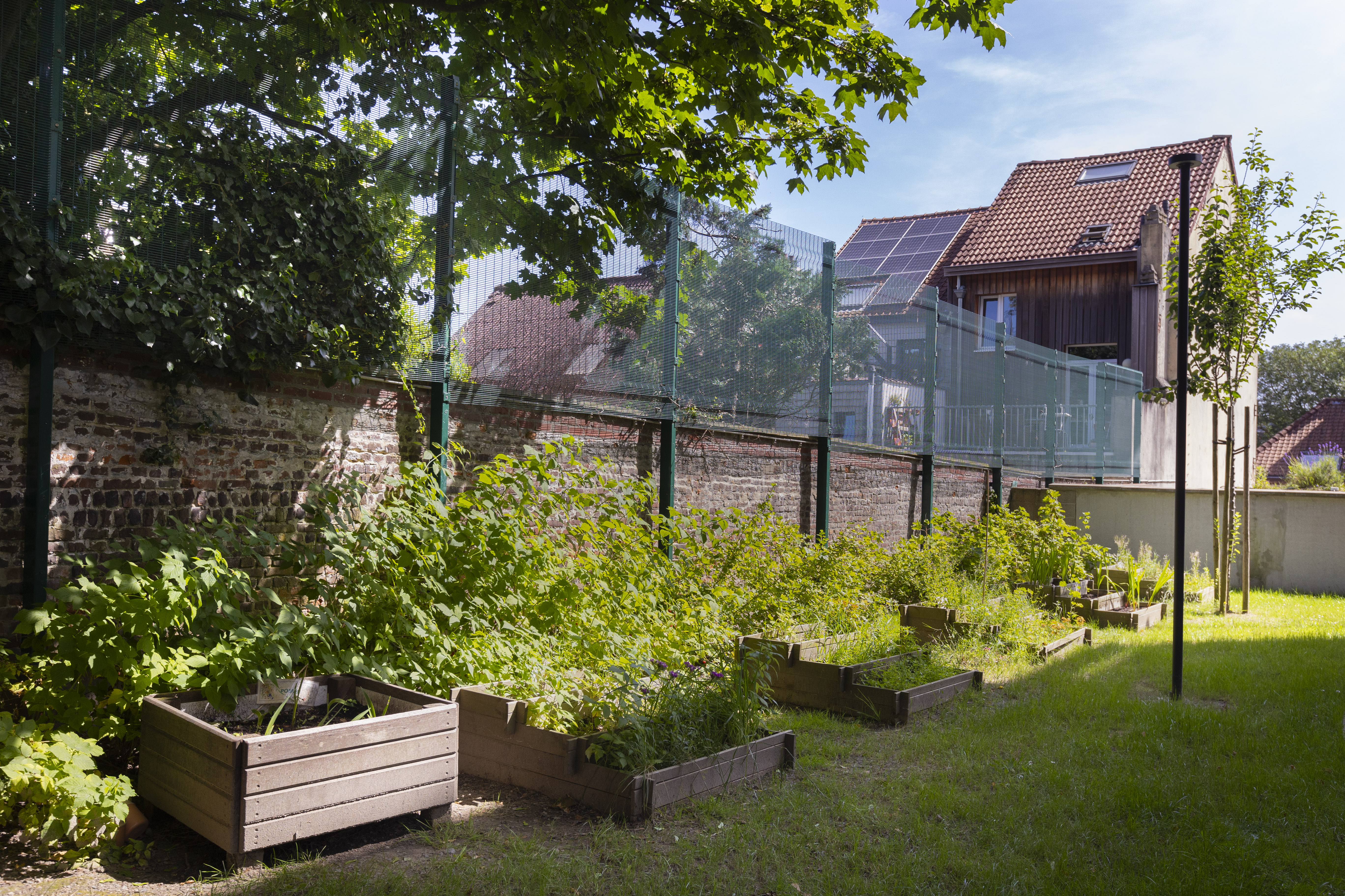 Potager